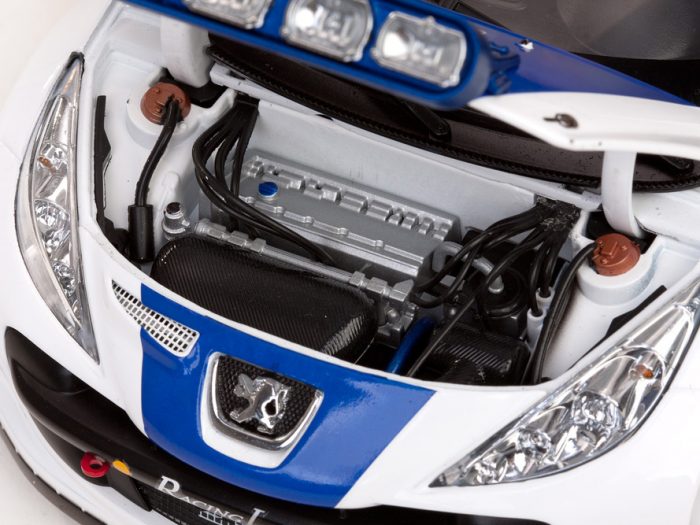Peugeot 207 S2000 - #10 L.Rossetti / M.Chiarcossi - Image 7