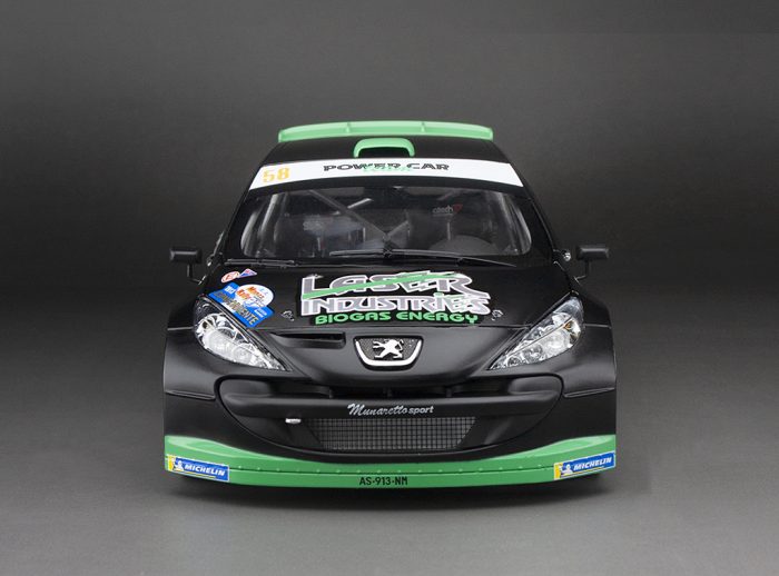 Peugeot 207 S2000 - #58 C.Breen  /S.Marshall  - Monza Rally Show 2013 - Image 10